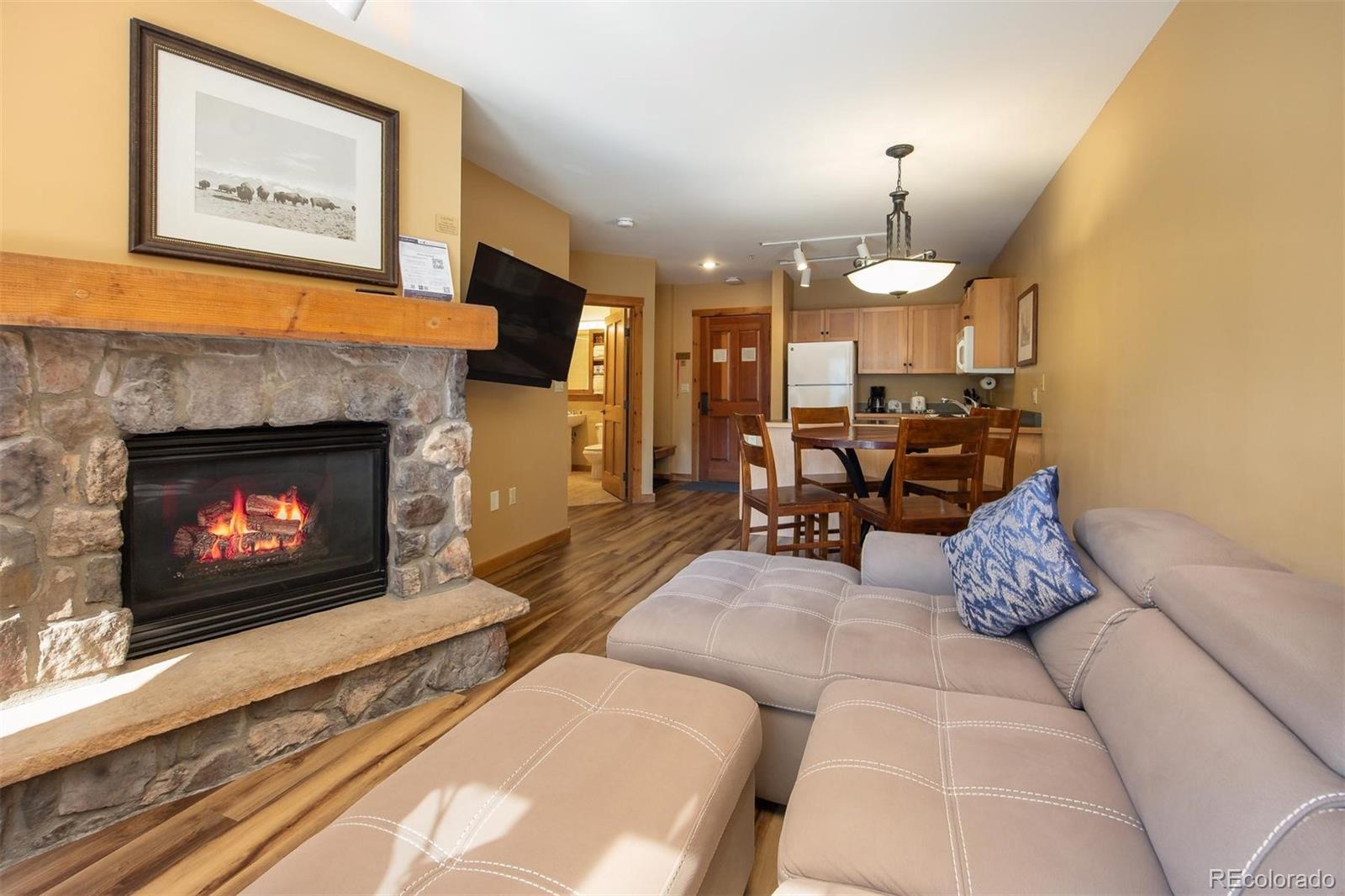 MLS Image #1 for 150  dercum square,keystone, Colorado