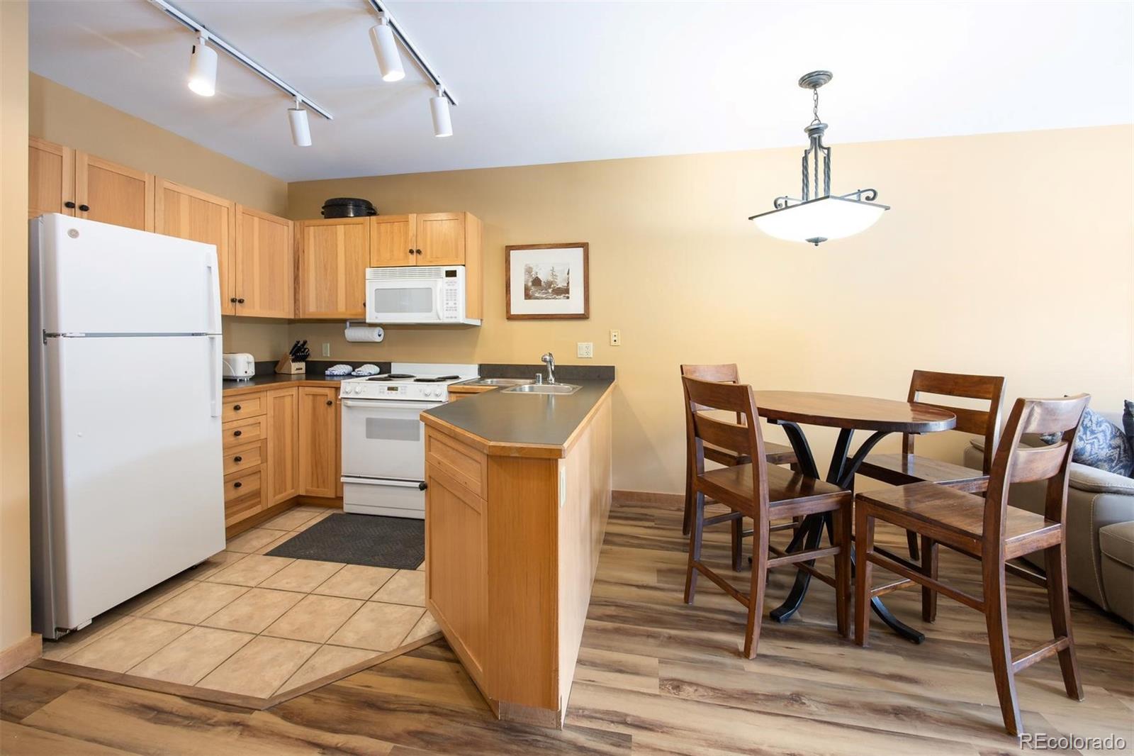 MLS Image #12 for 150  dercum square,keystone, Colorado