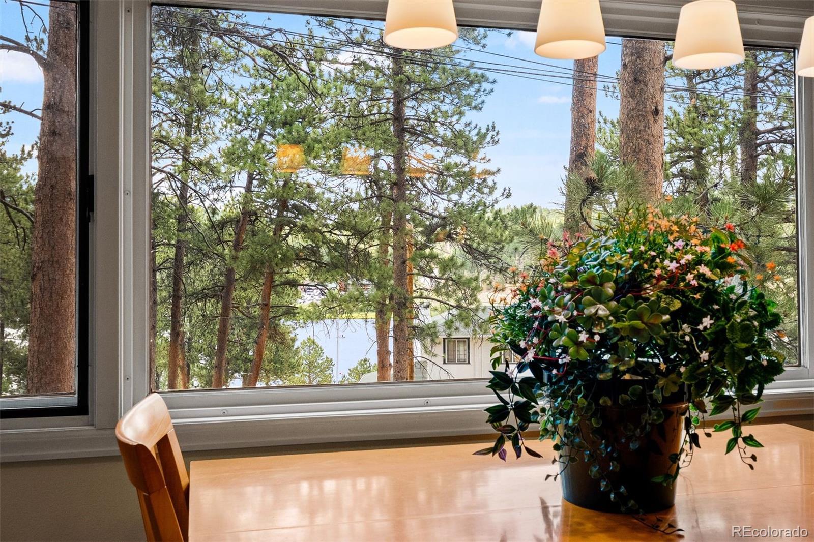 MLS Image #11 for 4743 s cedar road,evergreen, Colorado