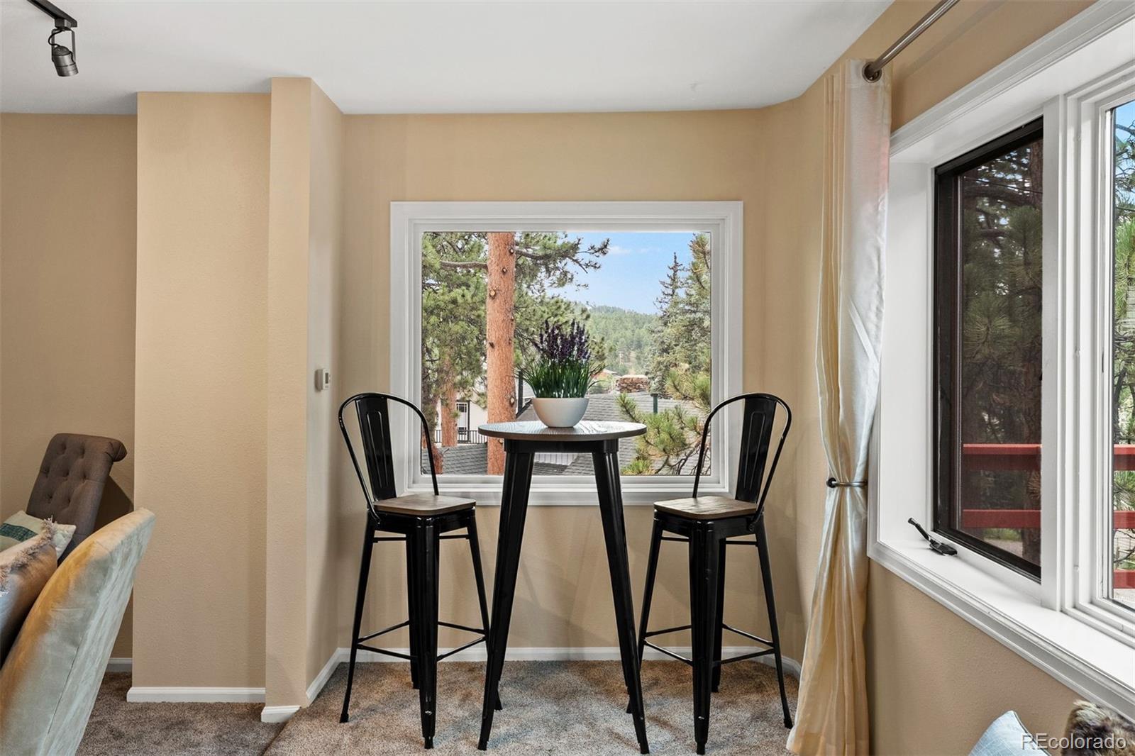 MLS Image #28 for 4743 s cedar road,evergreen, Colorado