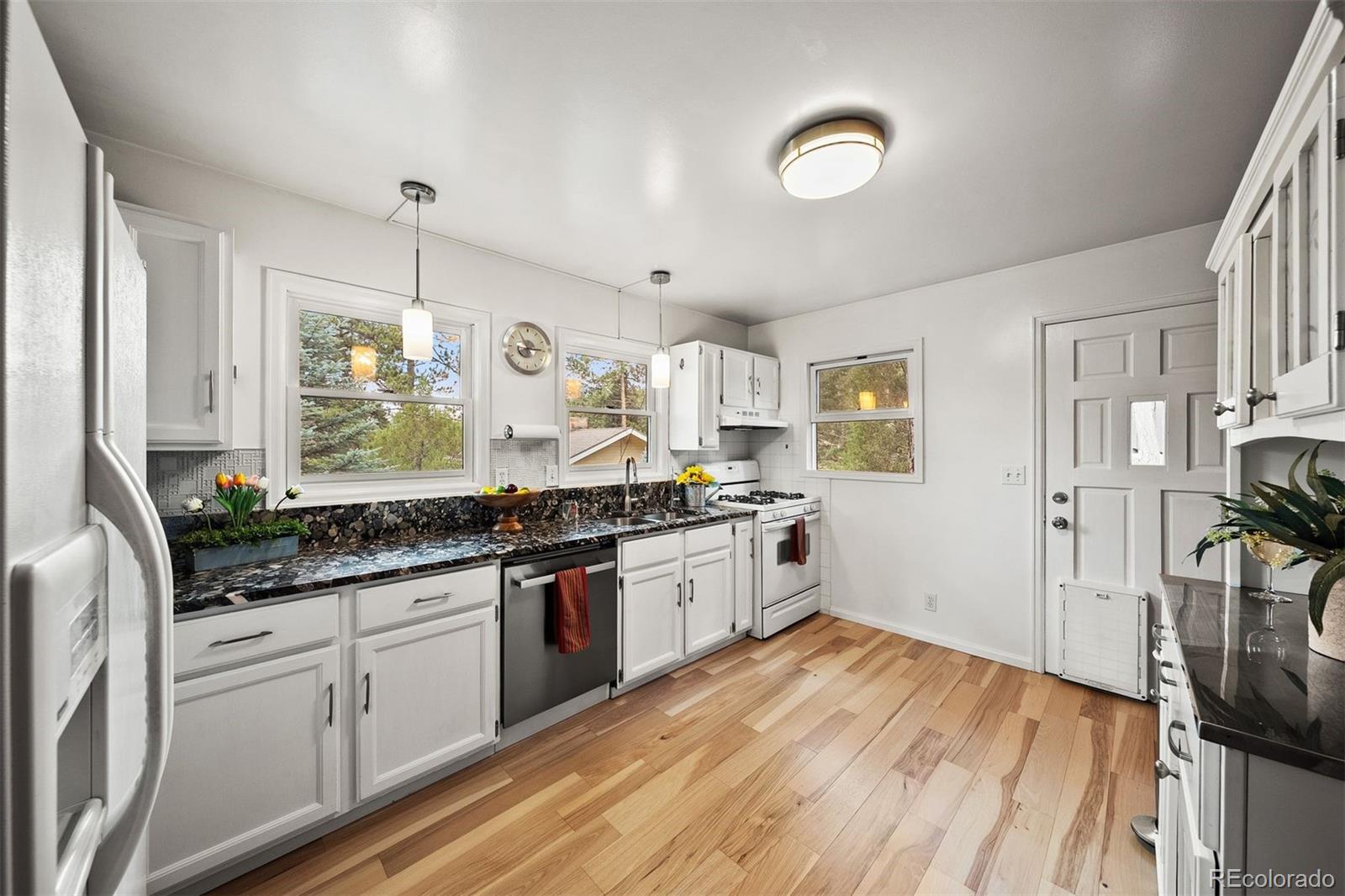 MLS Image #8 for 4743 s cedar road,evergreen, Colorado