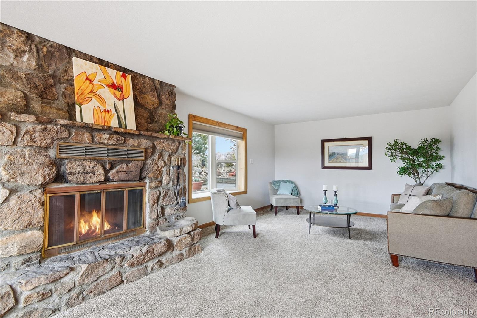 MLS Image #6 for 13082 s wamblee valley road,conifer, Colorado