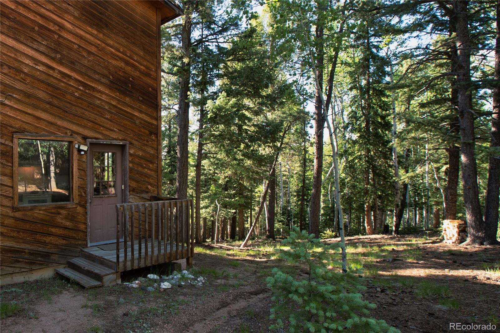 MLS Image #31 for 886  cottonwood lake drive,divide, Colorado