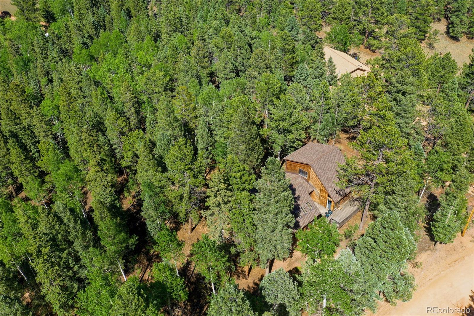 MLS Image #41 for 886  cottonwood lake drive,divide, Colorado