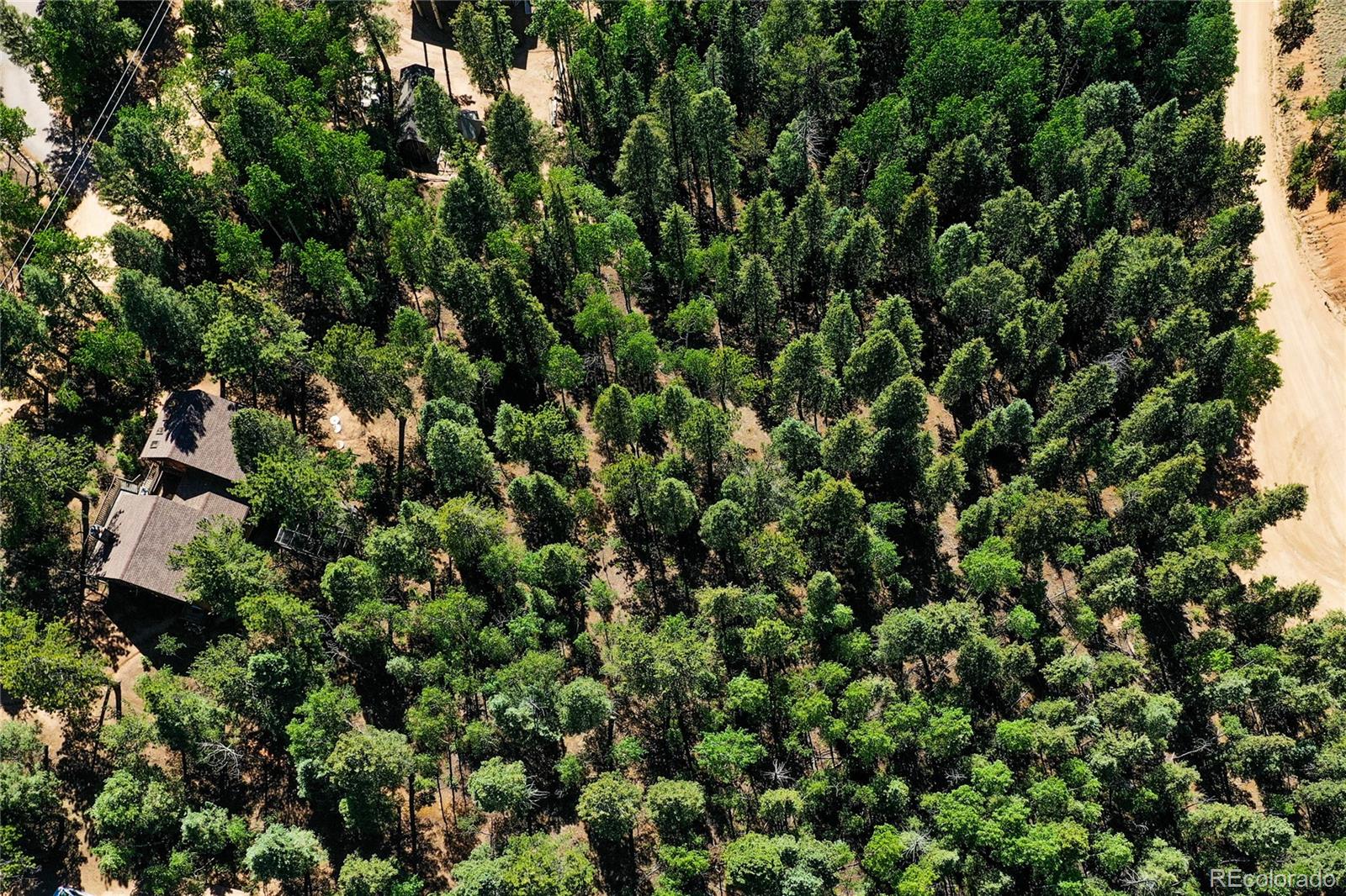 MLS Image #43 for 886  cottonwood lake drive,divide, Colorado