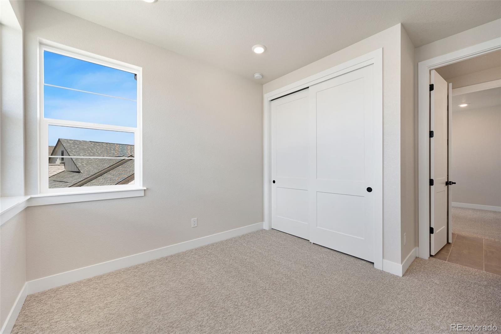 MLS Image #12 for 1380  weller court,timnath, Colorado