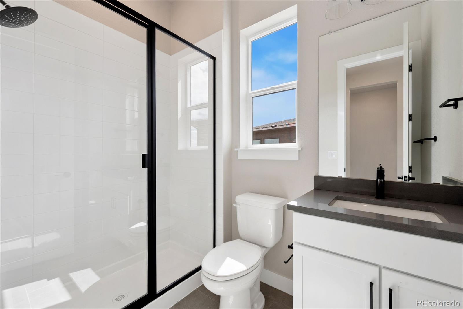MLS Image #13 for 1380  weller court,timnath, Colorado