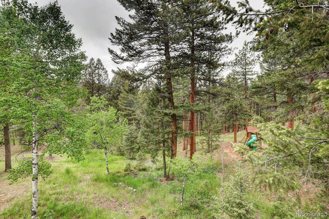 MLS Image #46 for 9209  william cody drive,evergreen, Colorado
