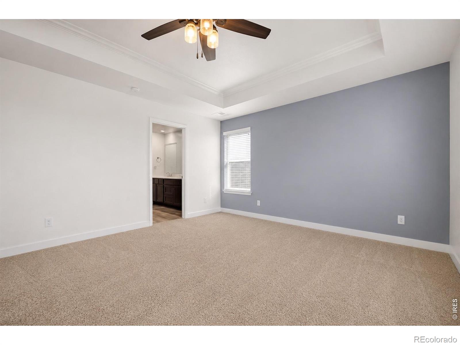 MLS Image #11 for 7139  stratus road,timnath, Colorado