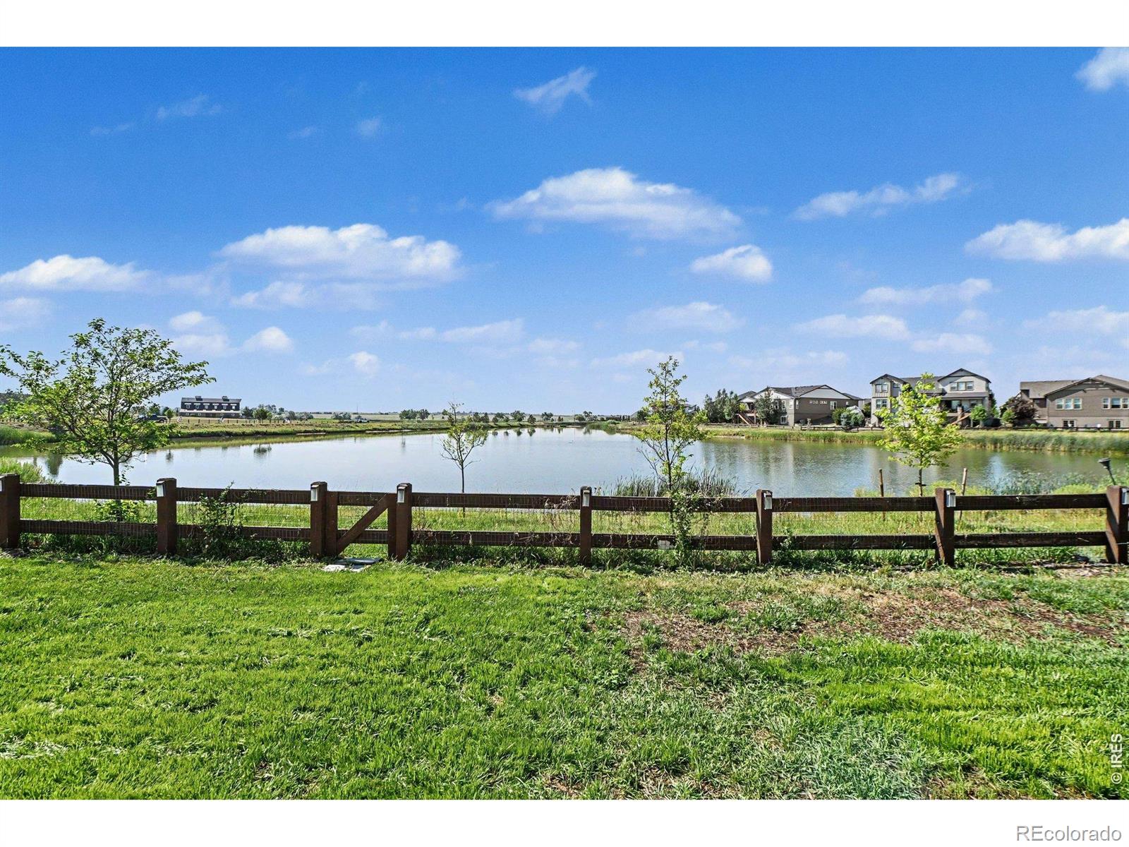 MLS Image #20 for 7139  stratus road,timnath, Colorado