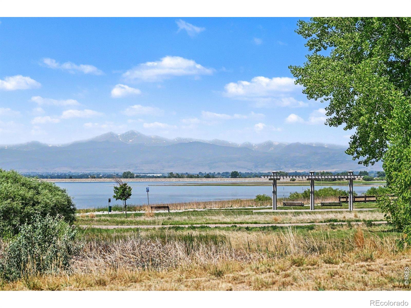 MLS Image #25 for 7139  stratus road,timnath, Colorado