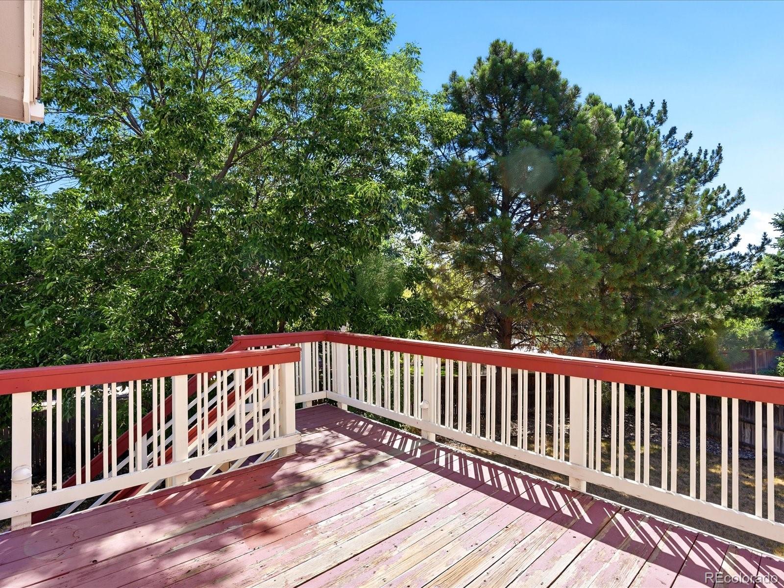 MLS Image #12 for 9470  morning glory lane,littleton, Colorado
