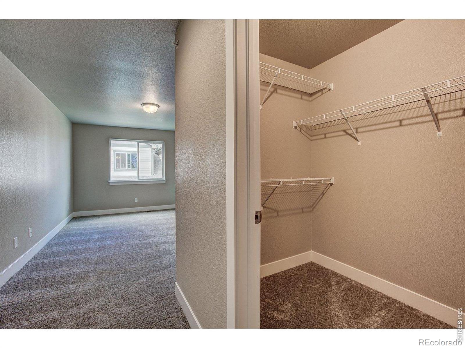 MLS Image #12 for 4145  crittenton lane,wellington, Colorado