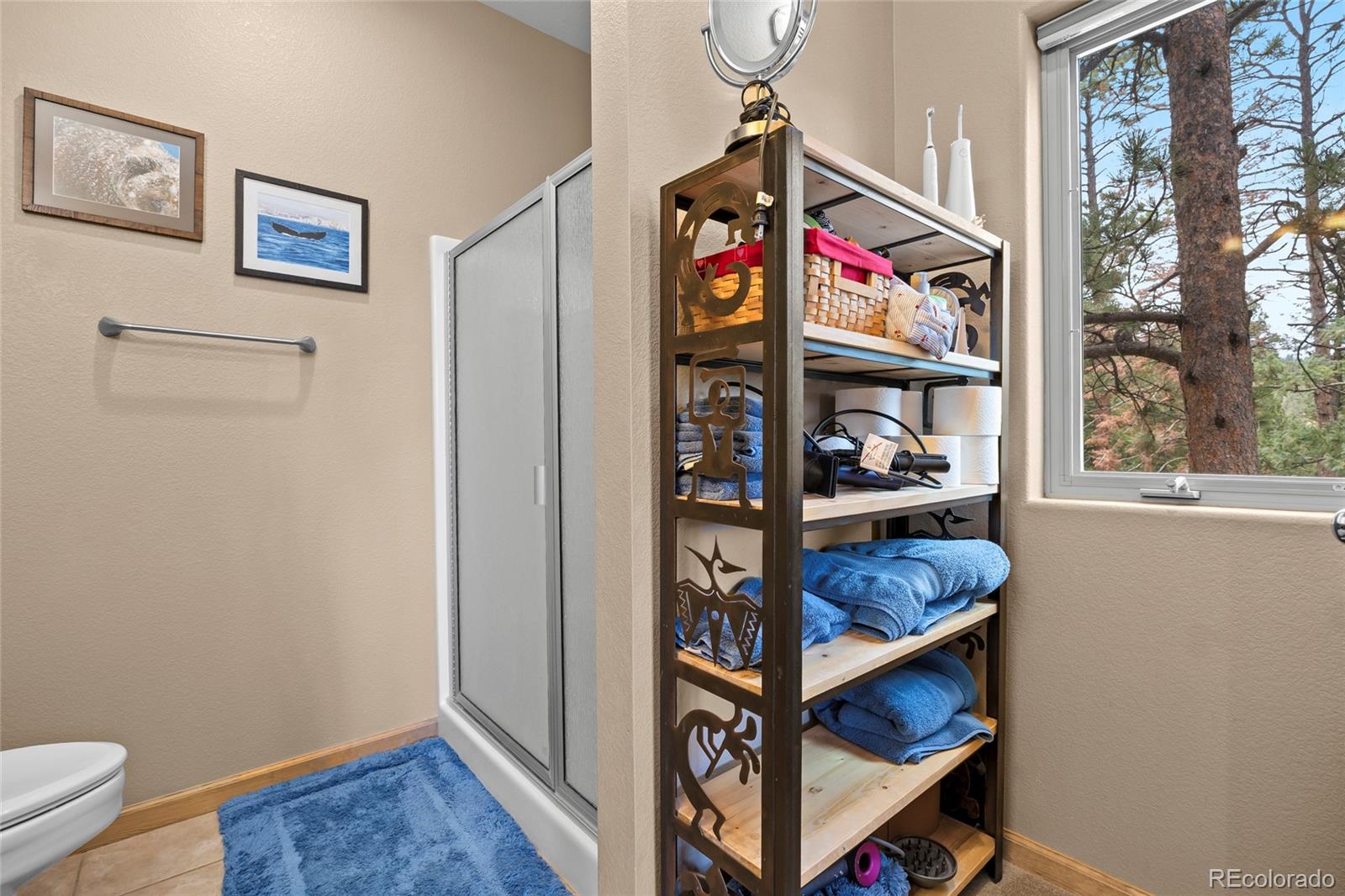 MLS Image #20 for 988  elk valley drive,evergreen, Colorado