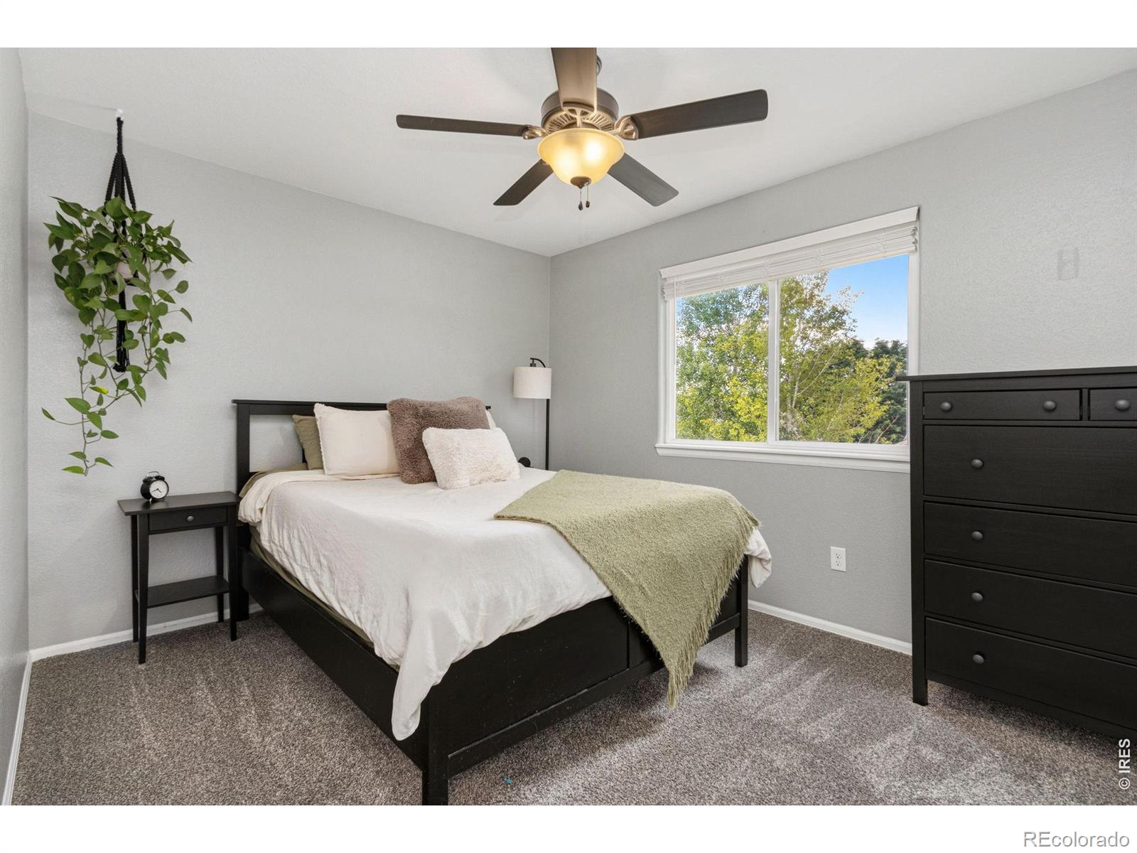 MLS Image #15 for 6837  mcclellan road,wellington, Colorado