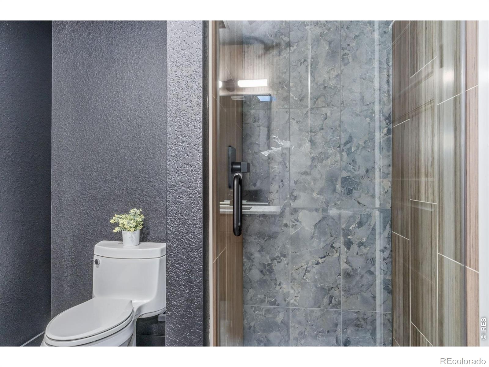 MLS Image #10 for 210 w magnolia street,fort collins, Colorado