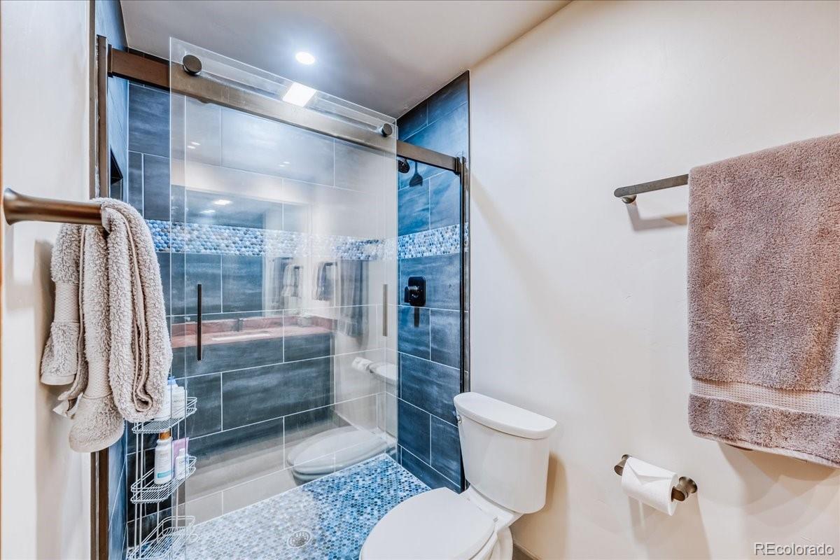 MLS Image #17 for 365  salt lick circle,silverthorne, Colorado