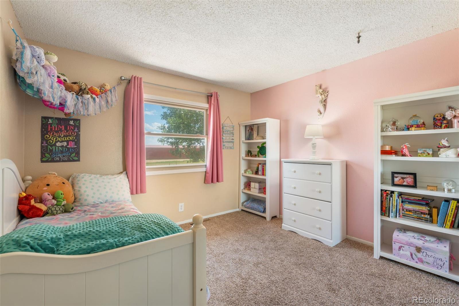 MLS Image #19 for 13575  old pueblo road,fountain, Colorado