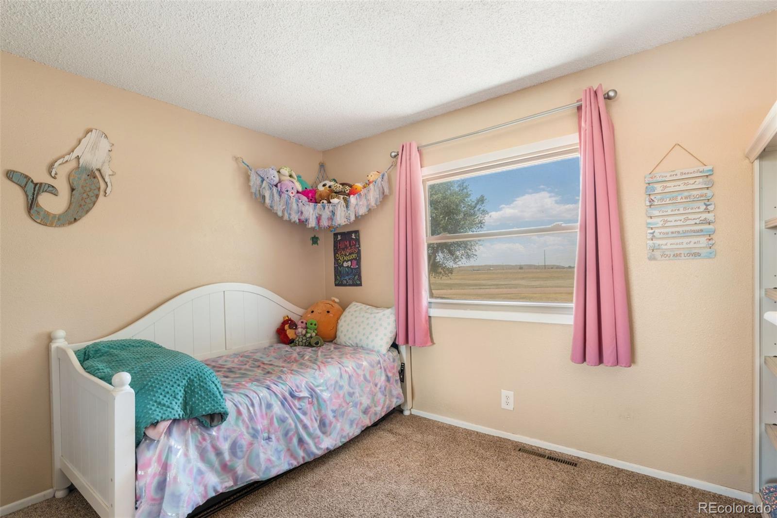 MLS Image #20 for 13575  old pueblo road,fountain, Colorado