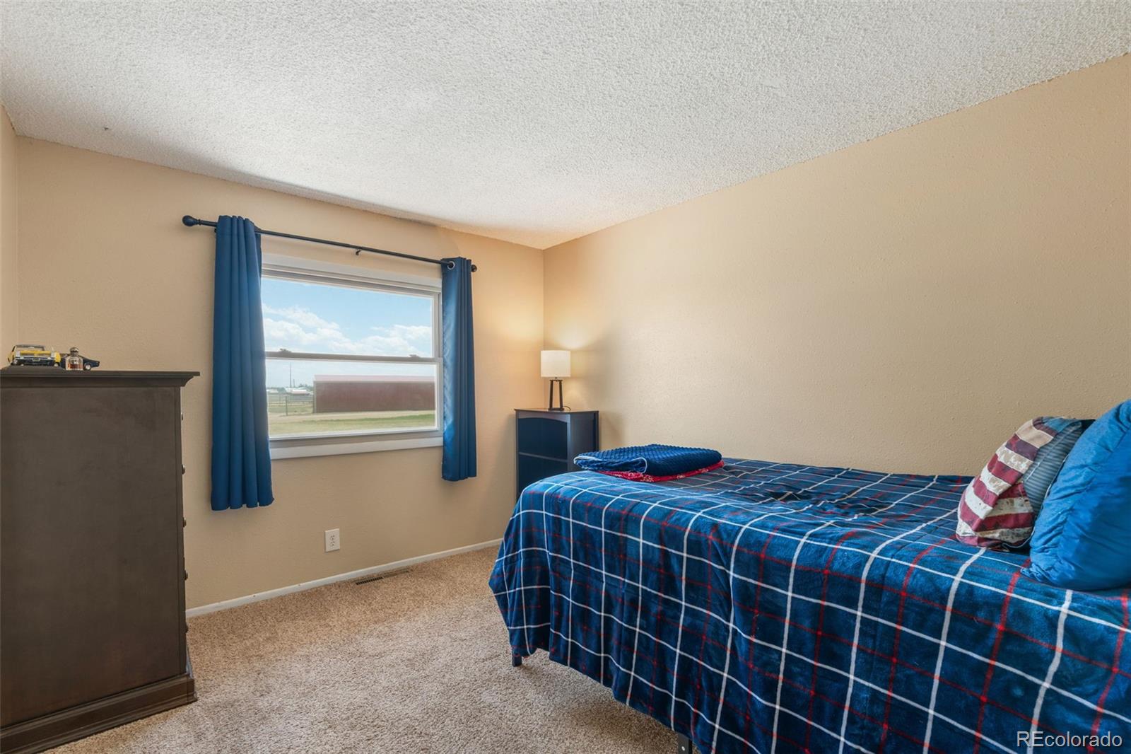 MLS Image #22 for 13575  old pueblo road,fountain, Colorado