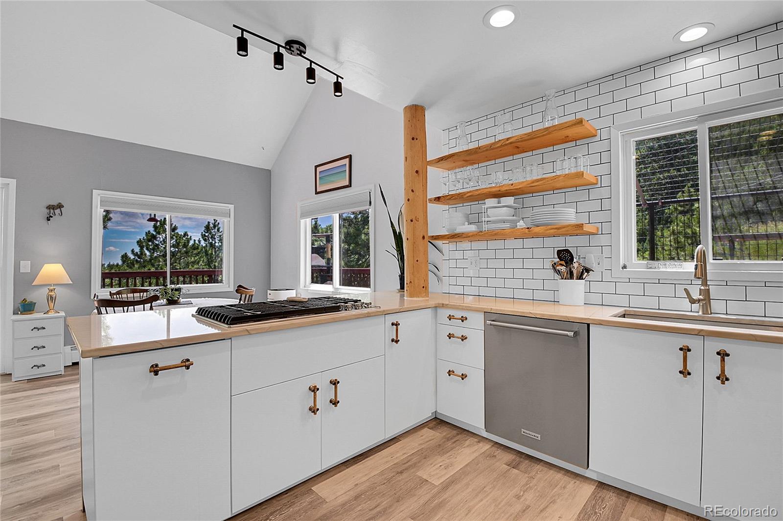 MLS Image #6 for 32187  sylvan road,golden, Colorado
