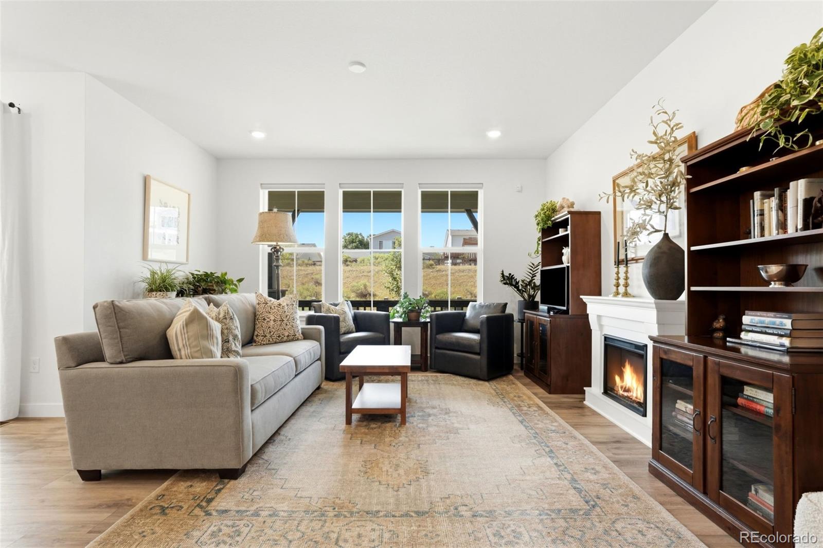 MLS Image #15 for 8052  mount kataka street,littleton, Colorado