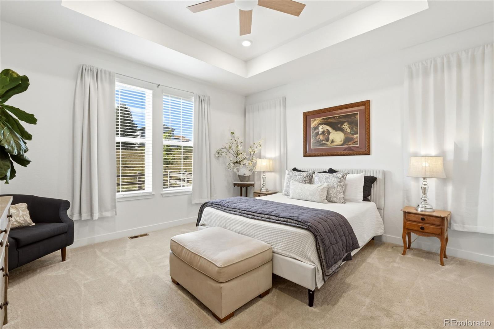 MLS Image #17 for 8052  mount kataka street,littleton, Colorado