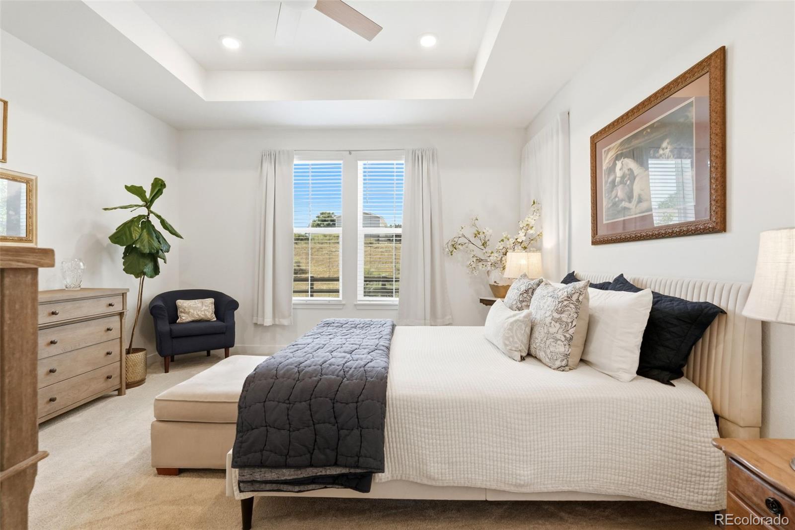 MLS Image #19 for 8052  mount kataka street,littleton, Colorado