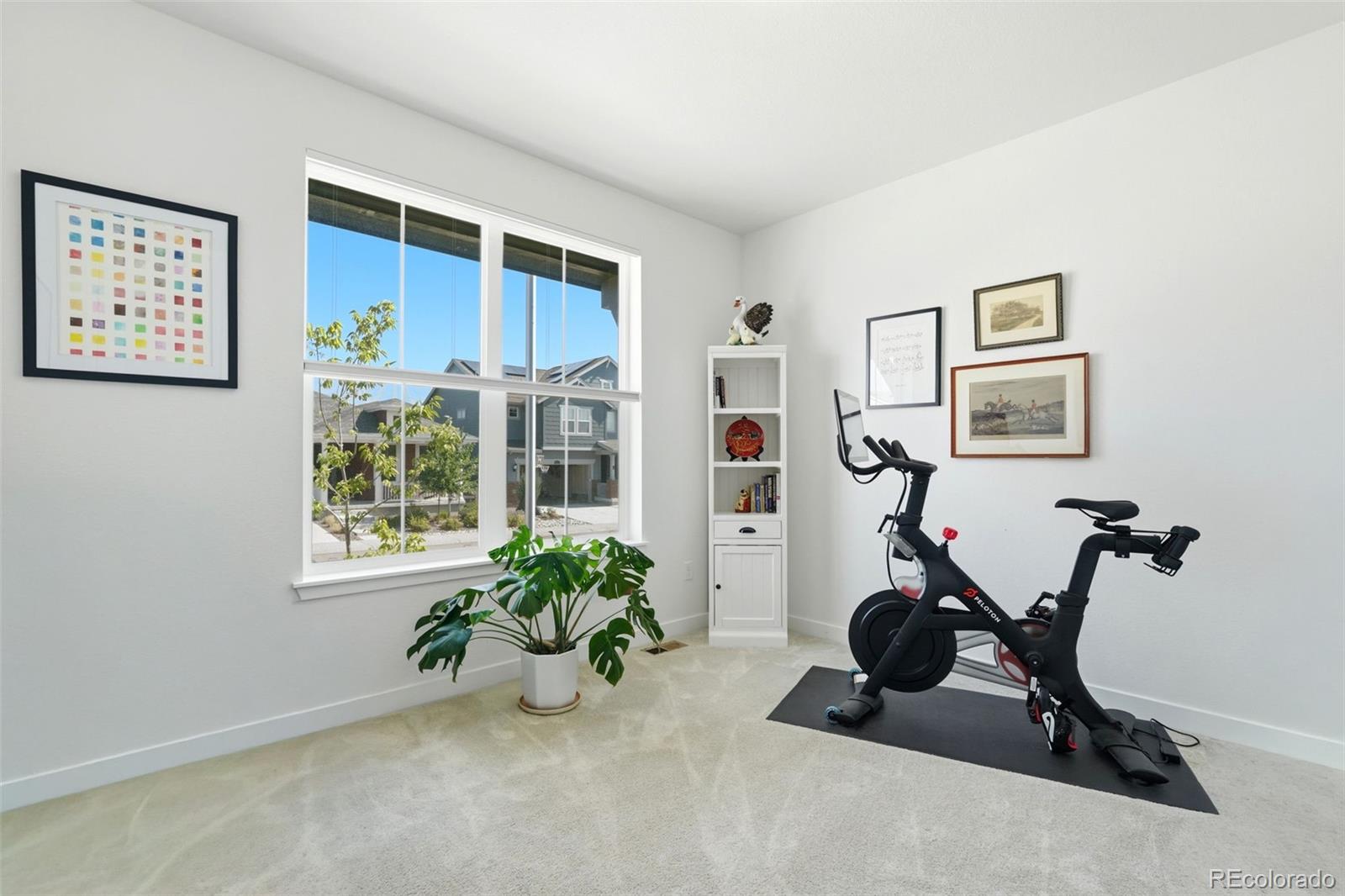 MLS Image #25 for 8052  mount kataka street,littleton, Colorado