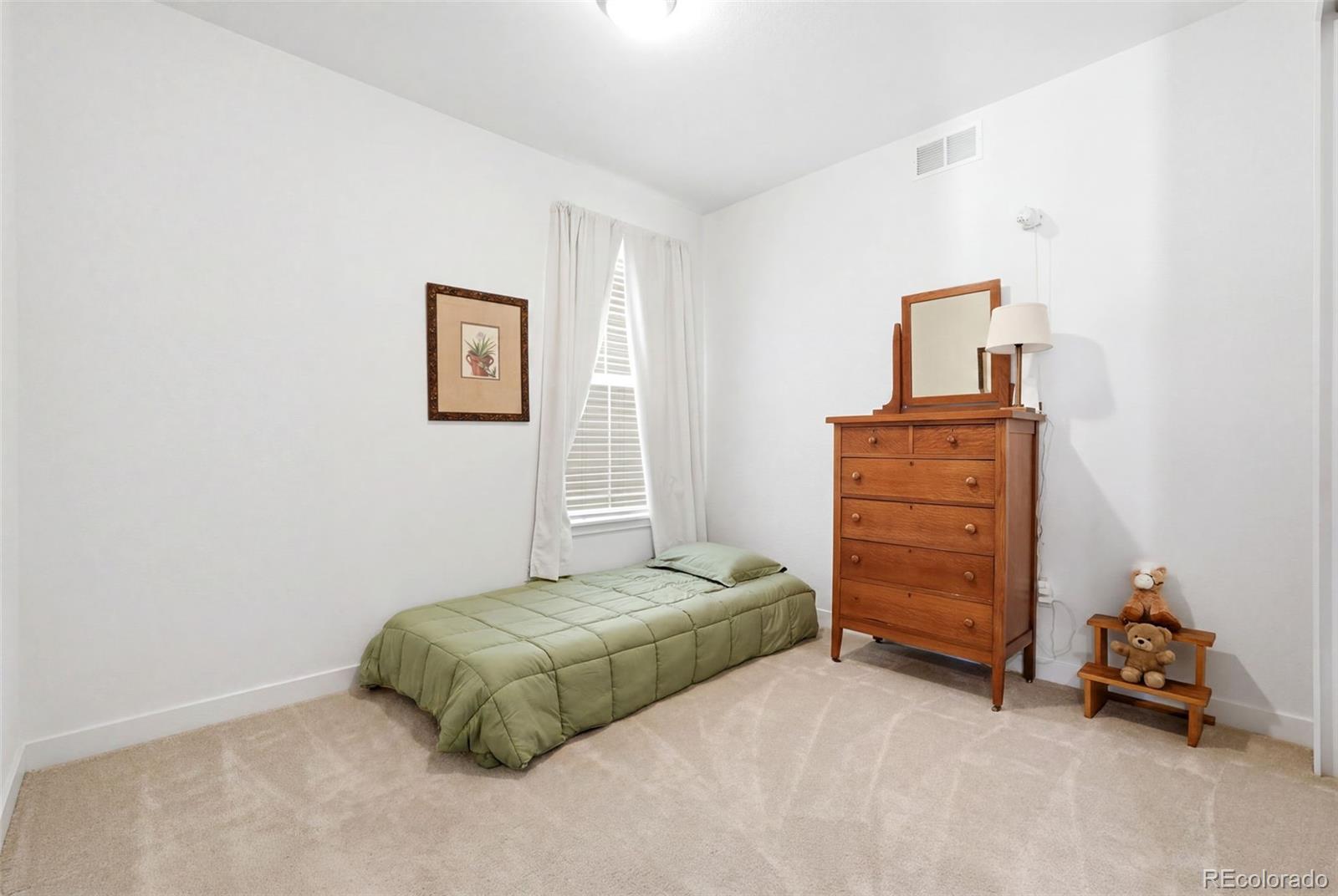 MLS Image #28 for 8052  mount kataka street,littleton, Colorado