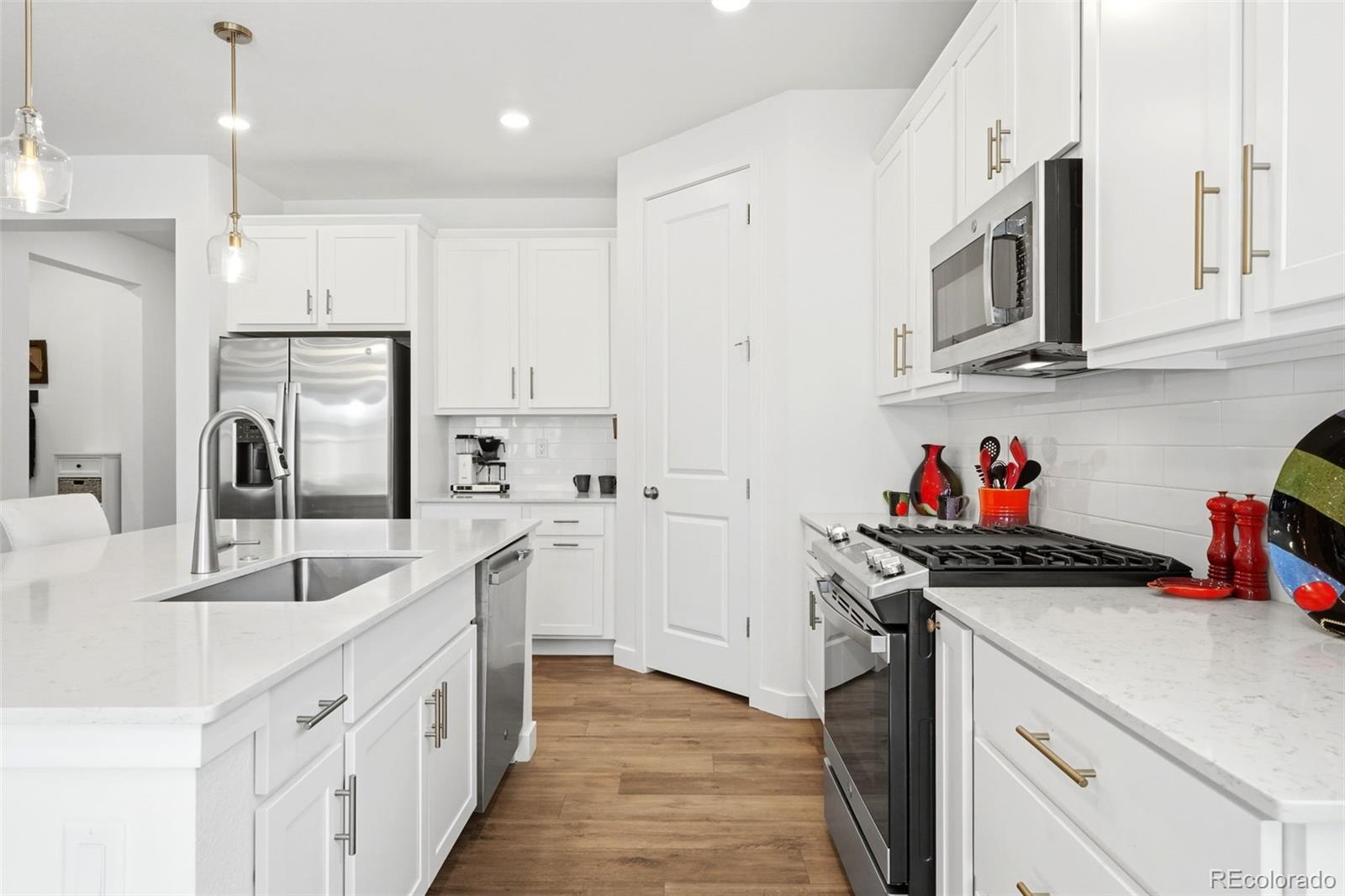 MLS Image #6 for 8052  mount kataka street,littleton, Colorado