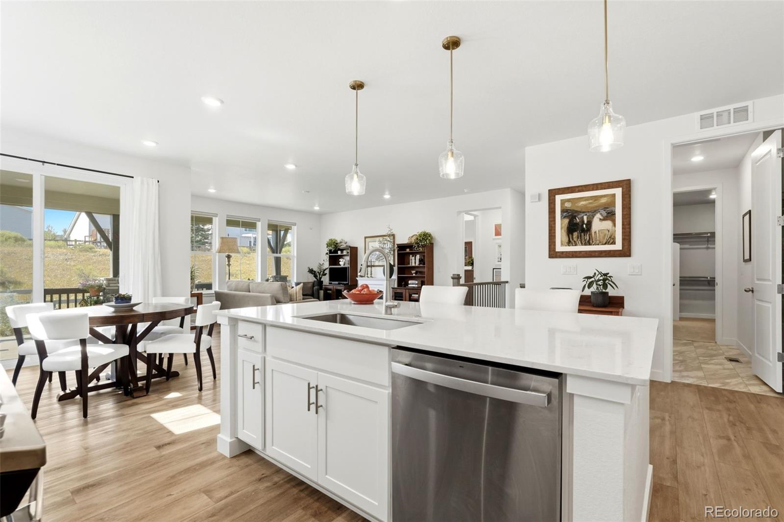 MLS Image #8 for 8052  mount kataka street,littleton, Colorado