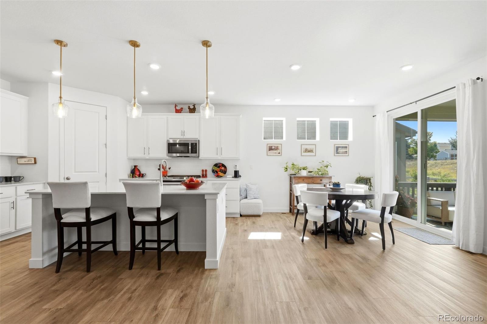 MLS Image #9 for 8052  mount kataka street,littleton, Colorado