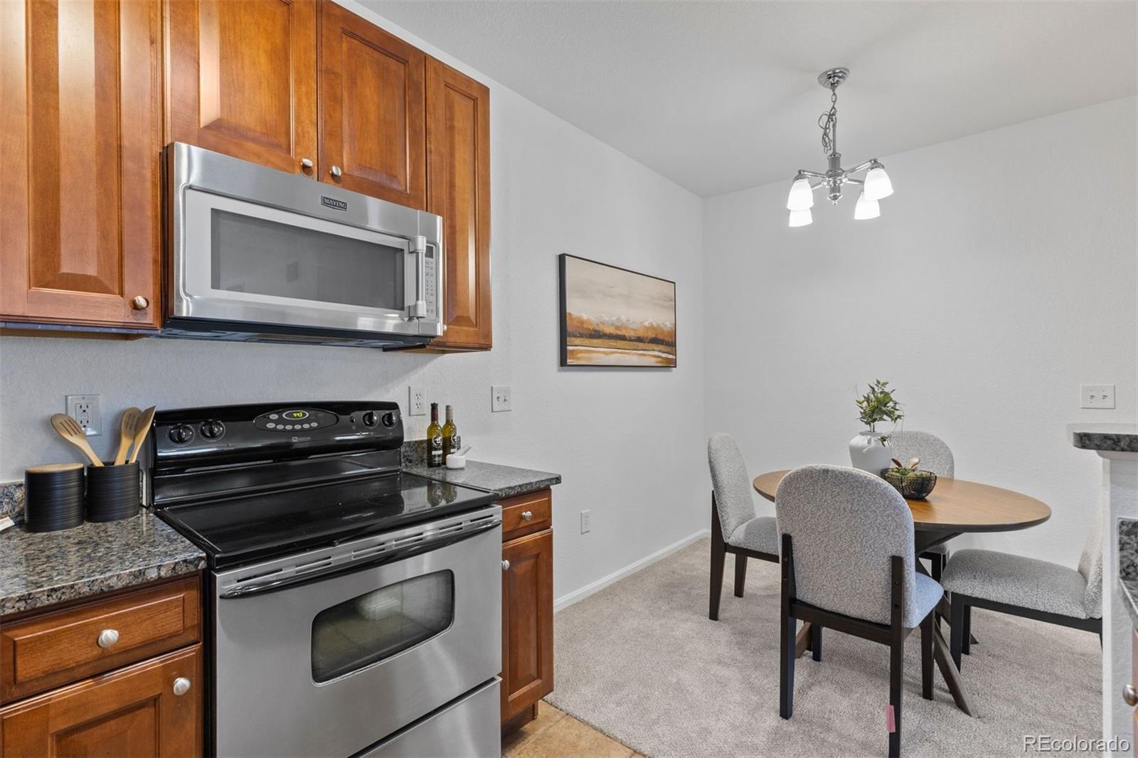 MLS Image #20 for 9180  rolling way,parker, Colorado