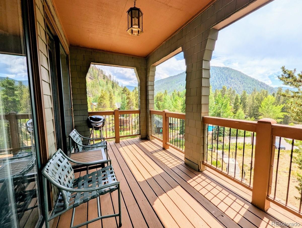 MLS Image #10 for 392  wild irishman road,dillon, Colorado