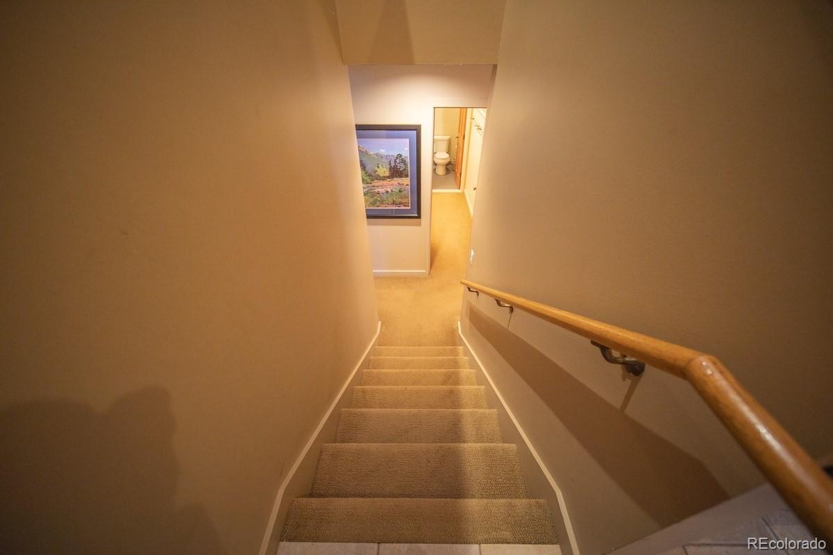 MLS Image #14 for 392  wild irishman road,dillon, Colorado