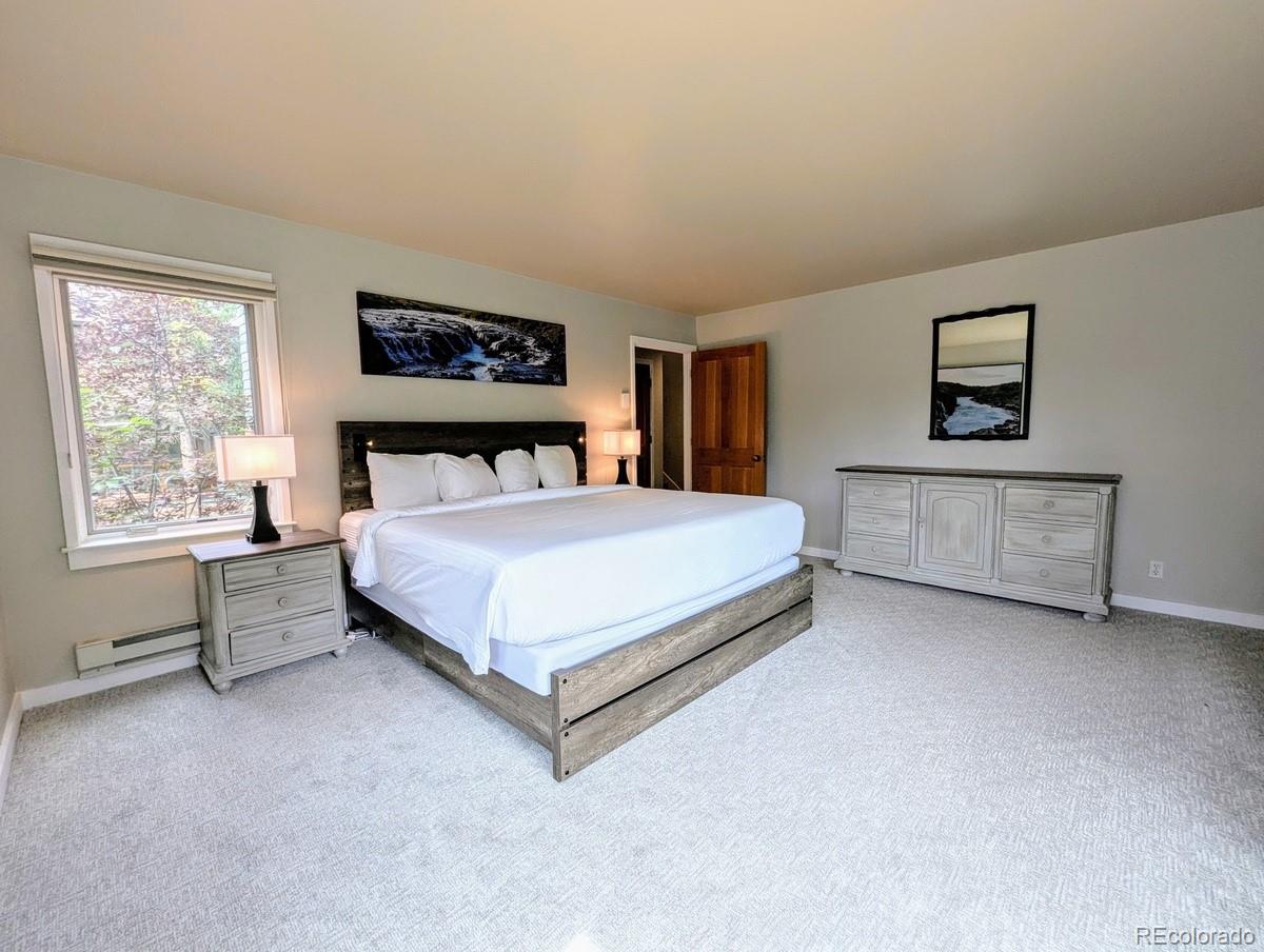 MLS Image #15 for 392  wild irishman road,dillon, Colorado