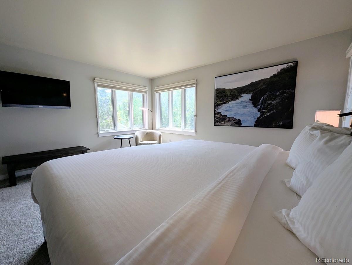 MLS Image #16 for 392  wild irishman road,dillon, Colorado