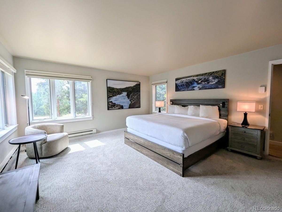 MLS Image #17 for 392  wild irishman road,dillon, Colorado