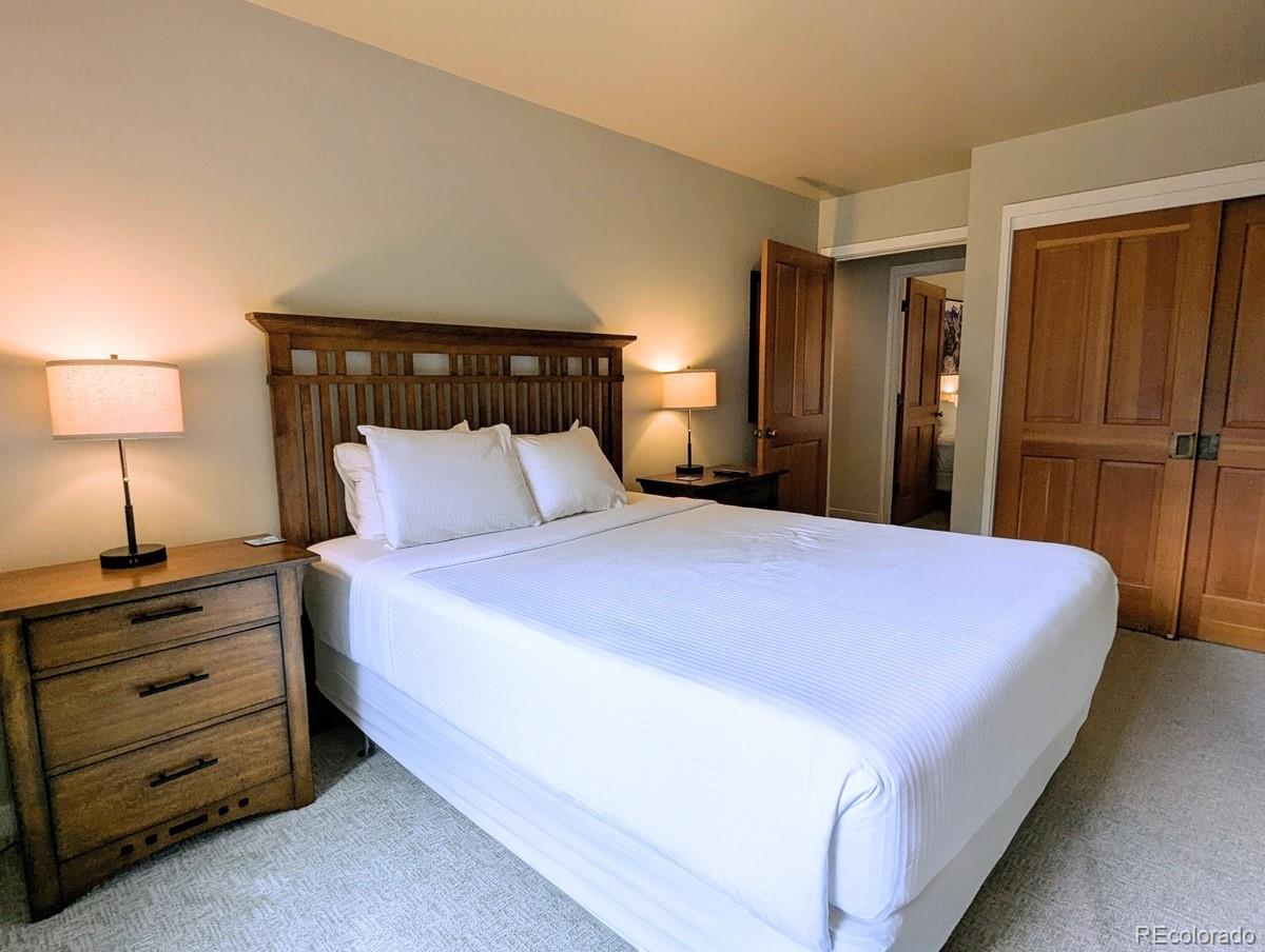 MLS Image #21 for 392  wild irishman road,dillon, Colorado