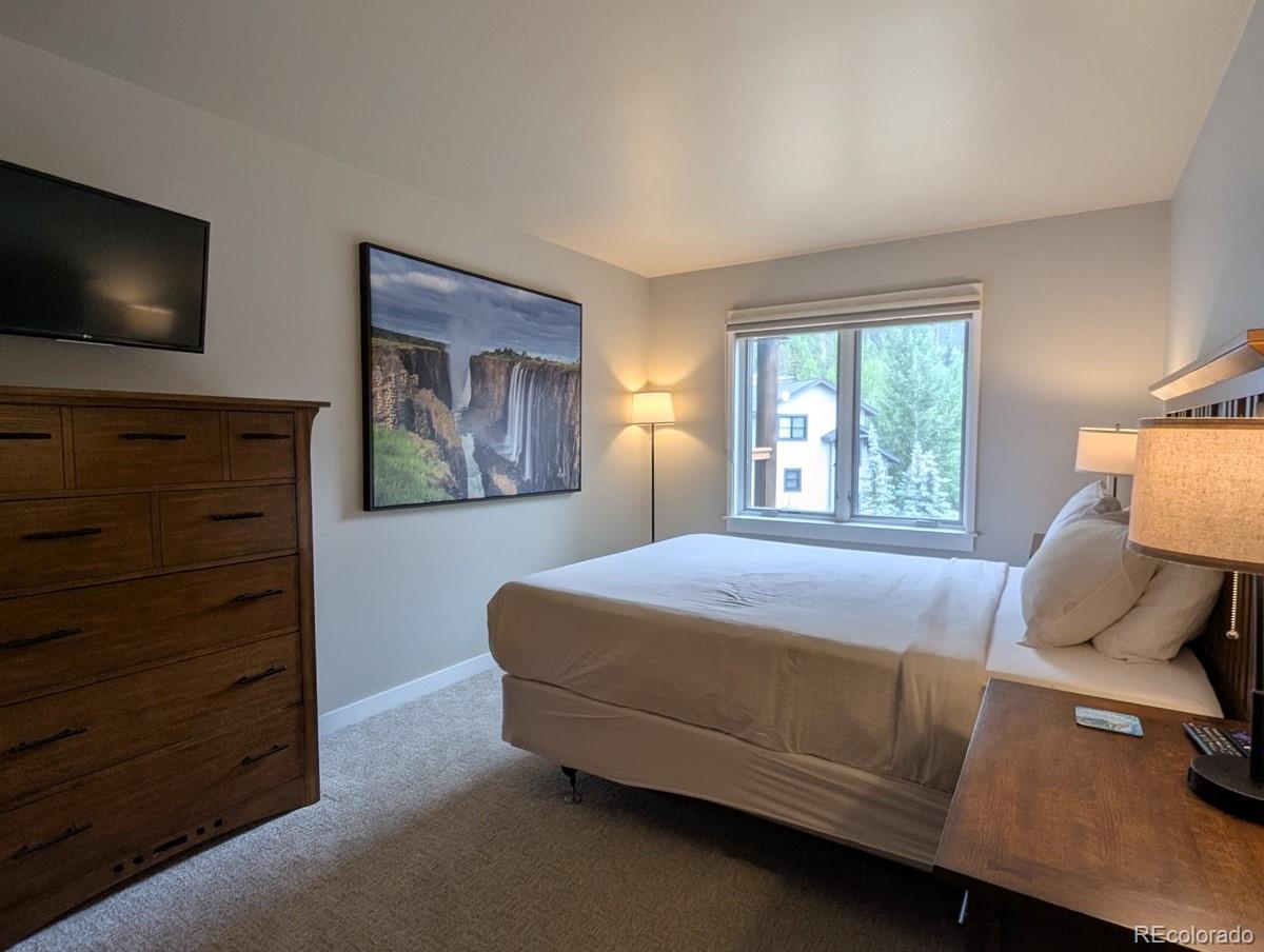 MLS Image #22 for 392  wild irishman road,dillon, Colorado