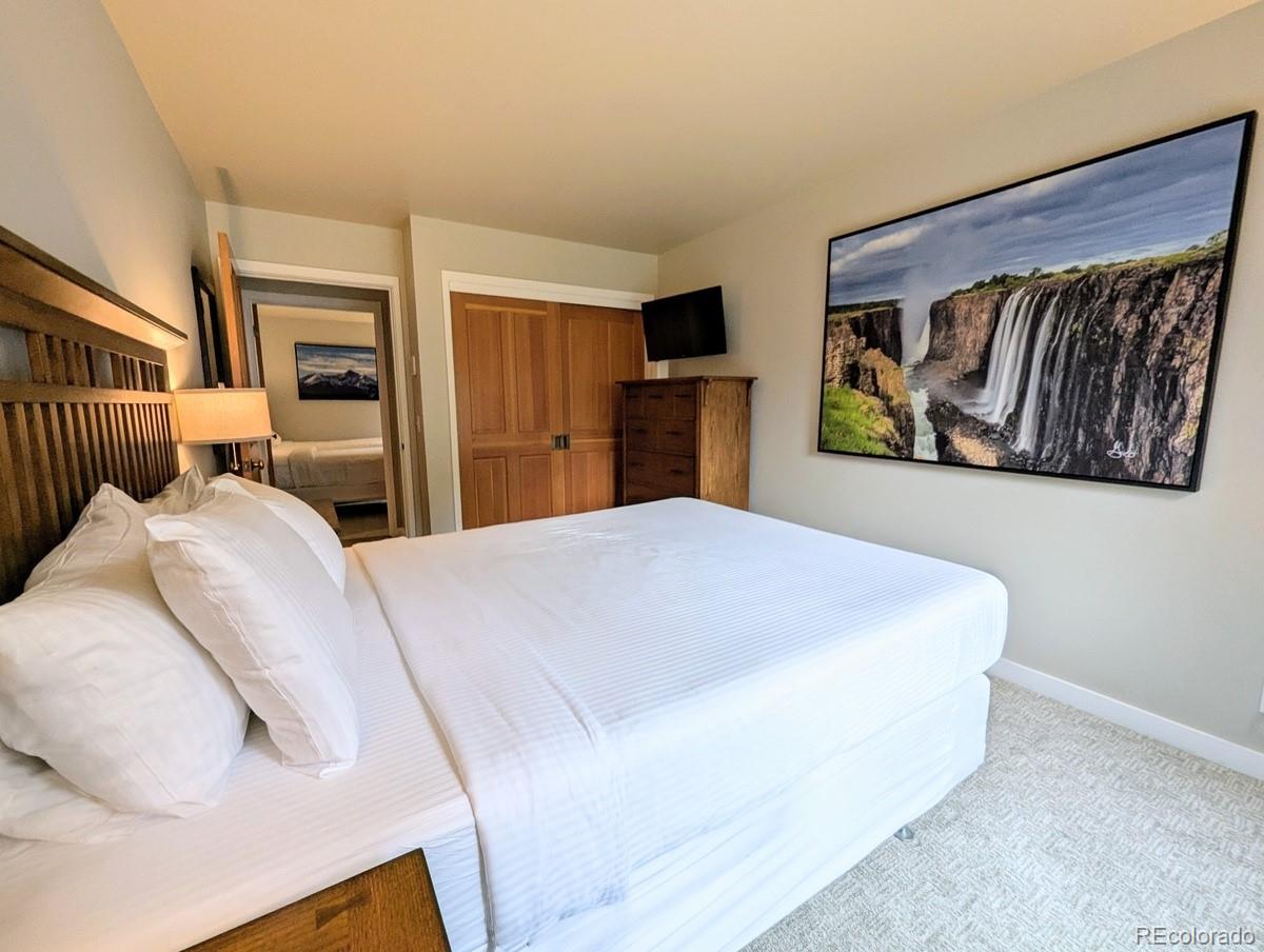 MLS Image #23 for 392  wild irishman road,dillon, Colorado
