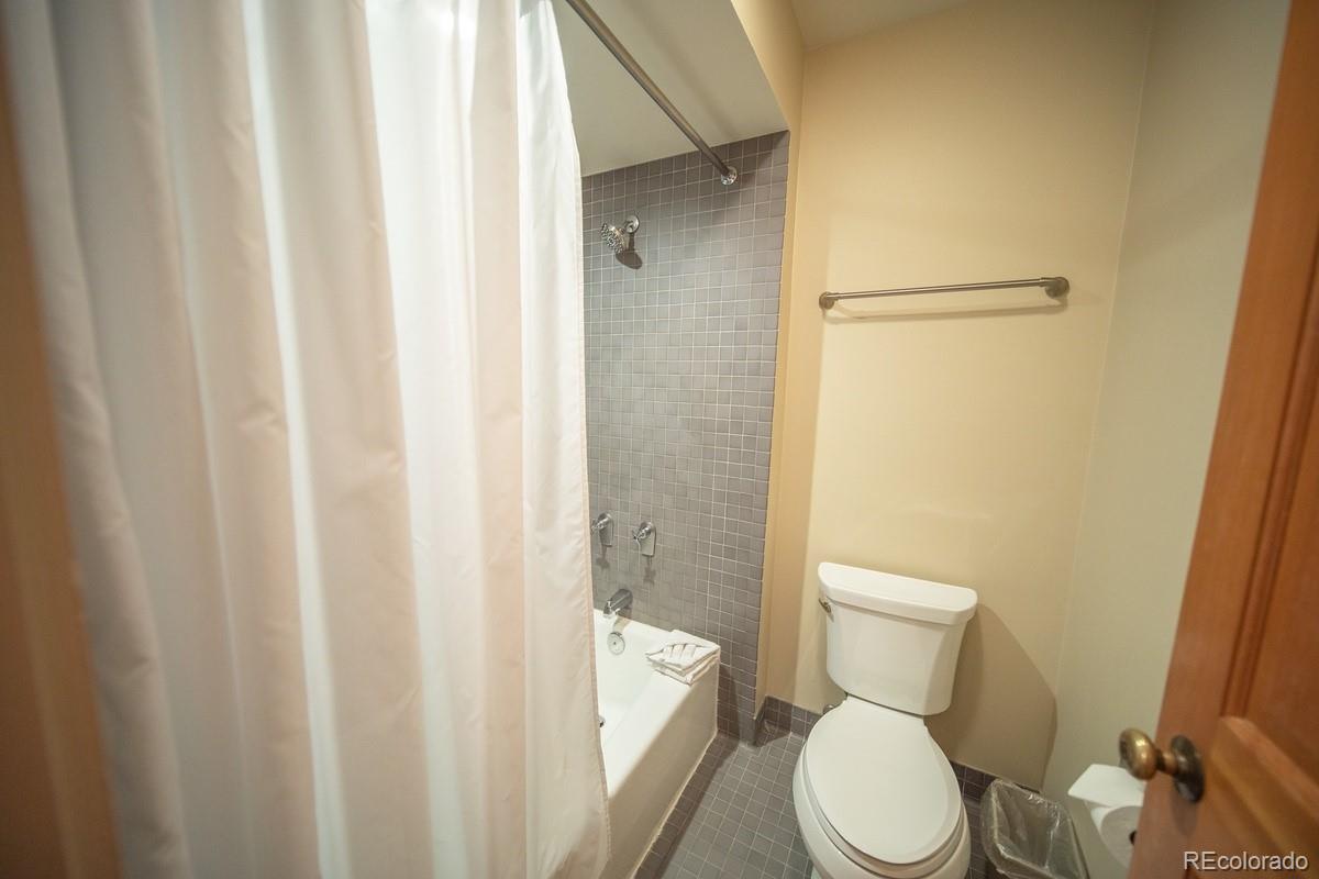 MLS Image #26 for 392  wild irishman road,dillon, Colorado