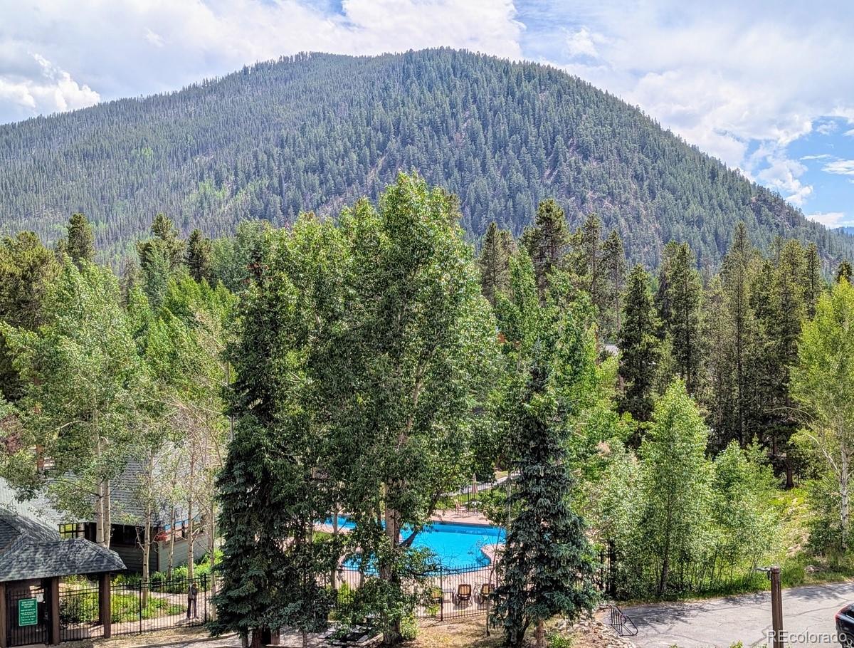 MLS Image #31 for 392  wild irishman road,dillon, Colorado