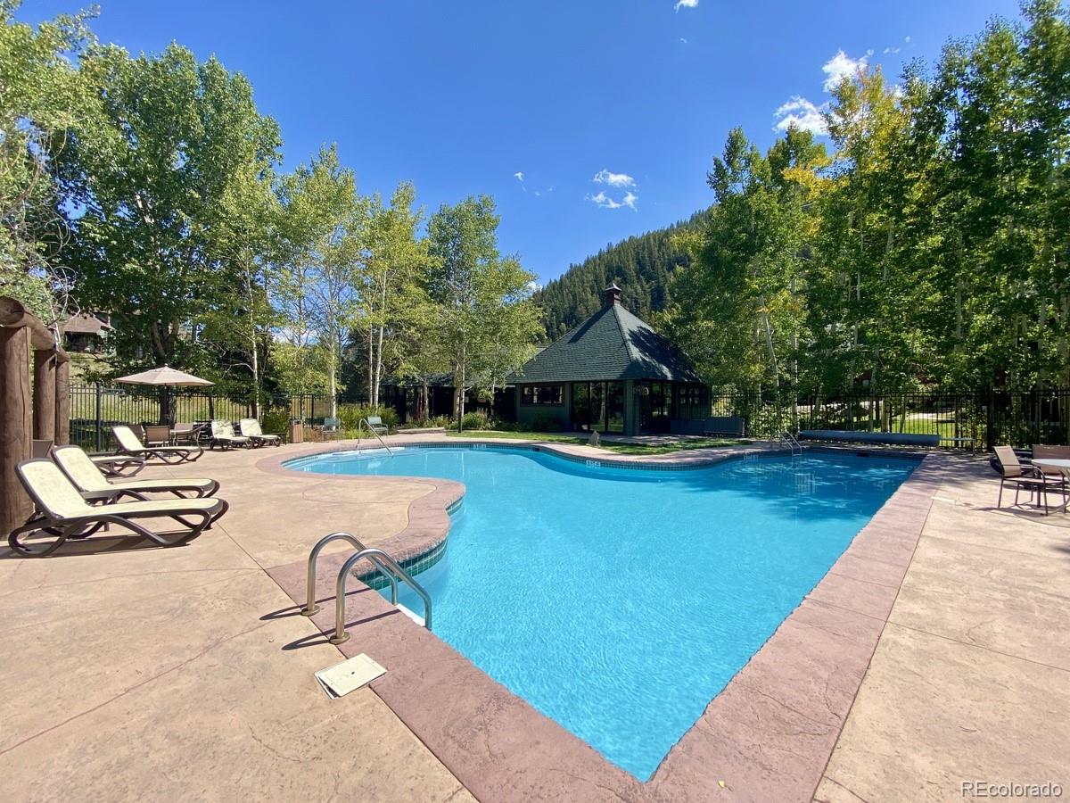 MLS Image #37 for 392  wild irishman road,dillon, Colorado