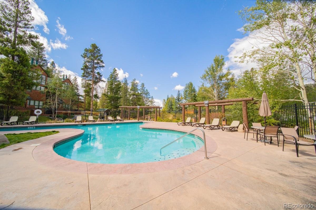 MLS Image #38 for 392  wild irishman road,dillon, Colorado