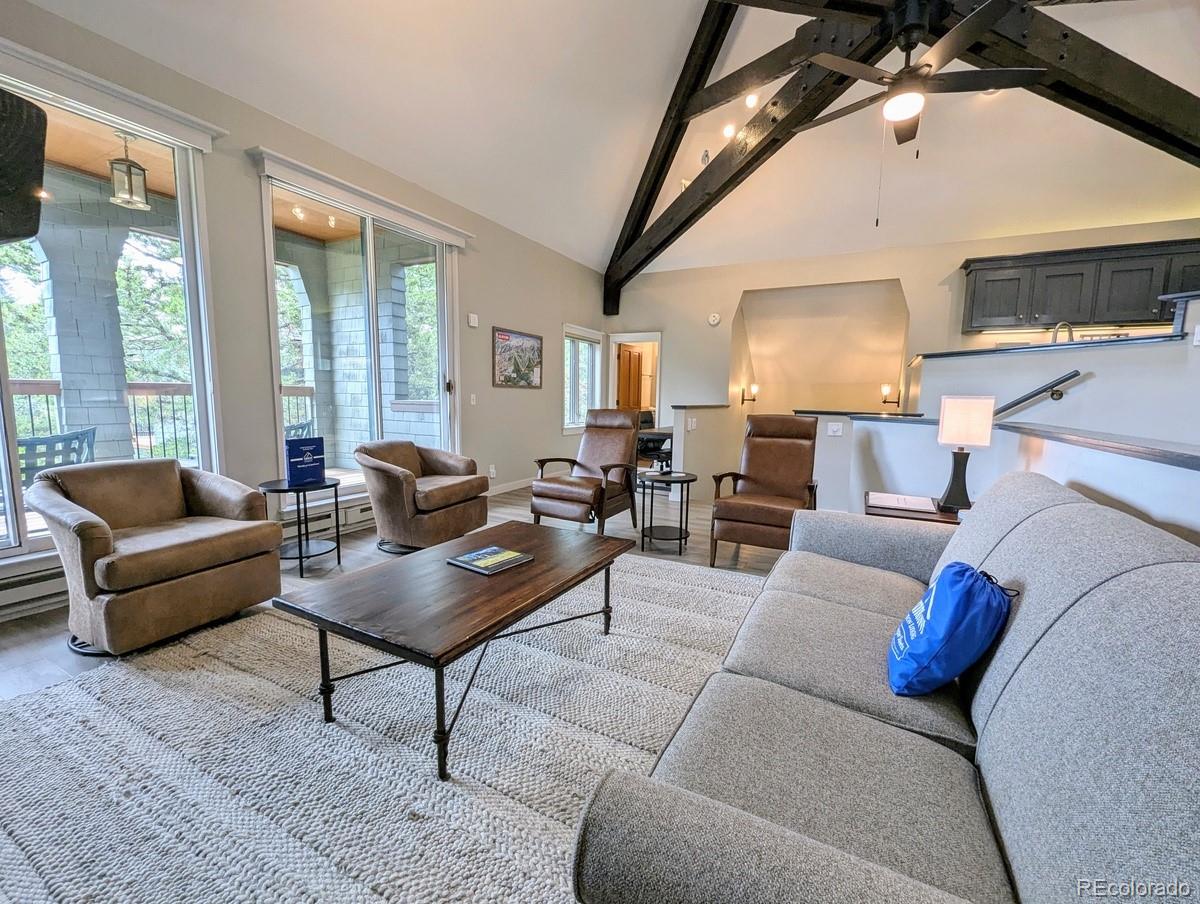 MLS Image #4 for 392  wild irishman road,dillon, Colorado