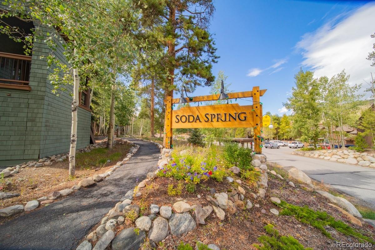 MLS Image #41 for 392  wild irishman road,dillon, Colorado