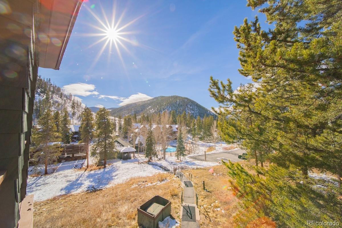 MLS Image #46 for 392  wild irishman road,dillon, Colorado