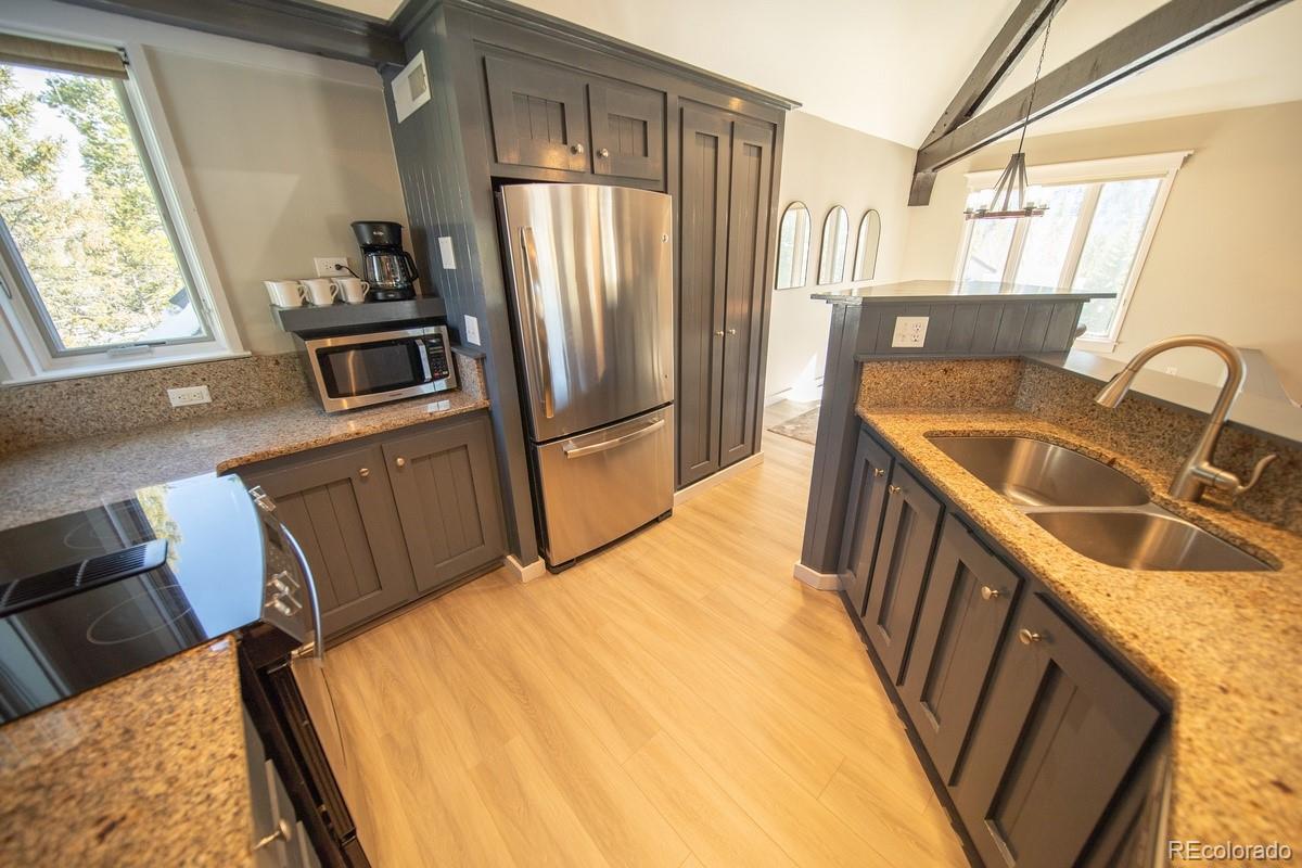 MLS Image #7 for 392  wild irishman road,dillon, Colorado